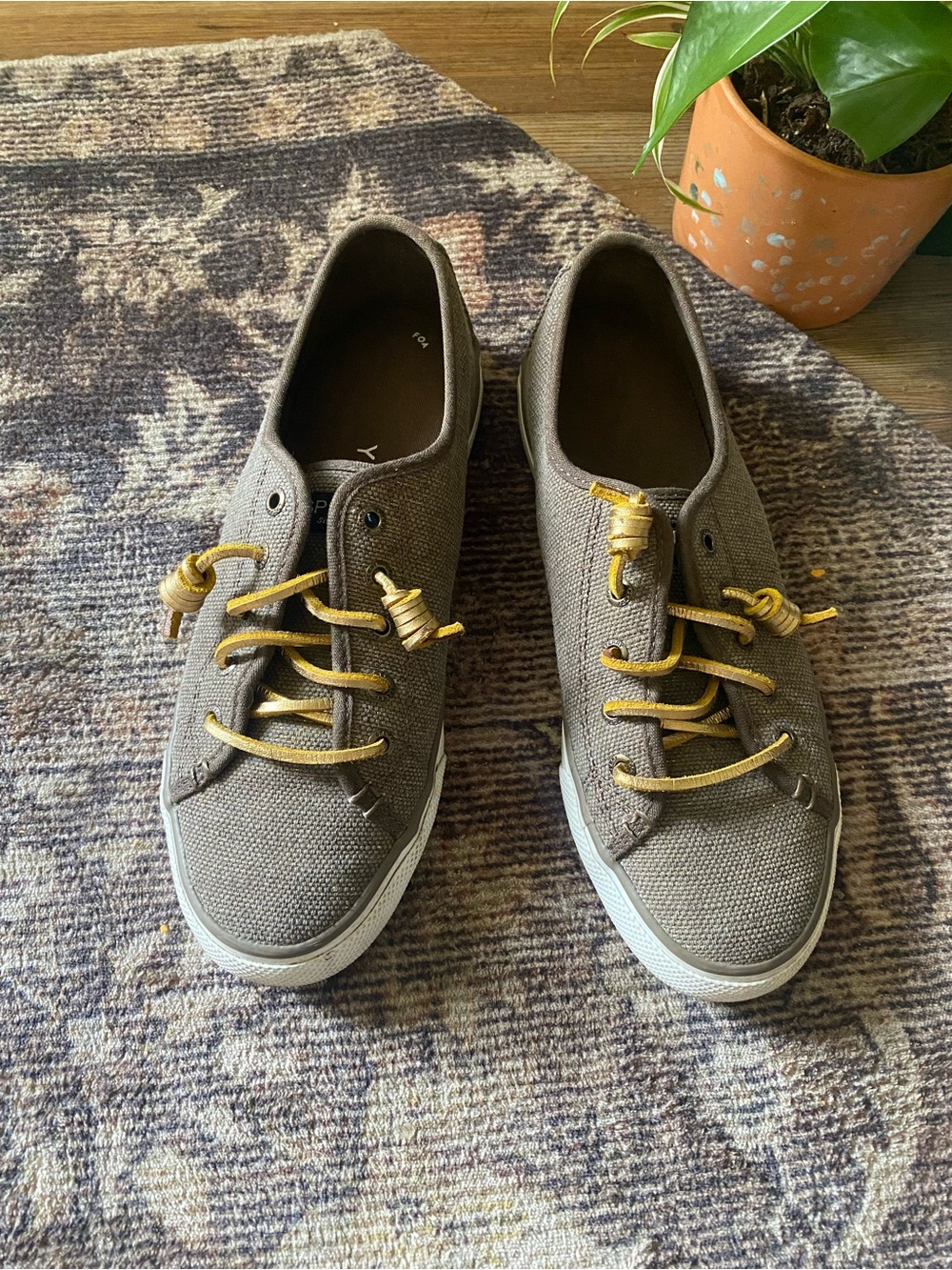 Sperry Crest Vibe Seacoast Brown Canvas Barrel Lace Slip On Sneakers
